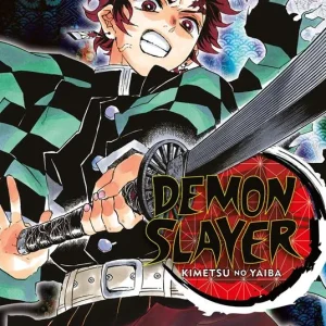 Demon slayer. Kimetsu no yaiba. Vol. 10