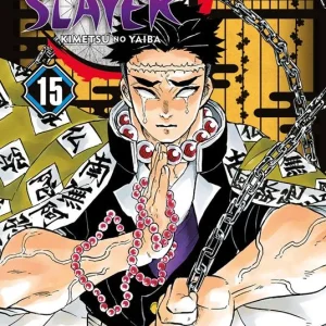 Demon slayer. Kimetsu no yaiba. Vol. 15