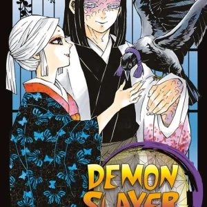 Demon slayer. Kimetsu no yaiba. Vol. 16