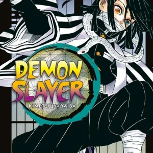 Demon slayer. Kimetsu no yaiba. Vol. 19