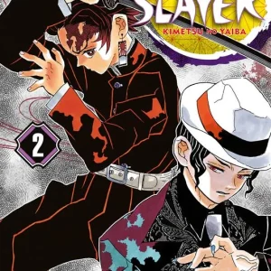 Demon slayer. Kimetsu no yaiba. Vol. 2