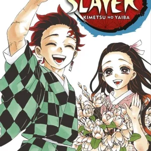 Demon slayer. Kimetsu no yaiba. Vol. 23