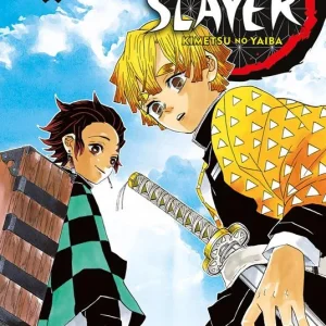 Demon slayer. Kimetsu no yaiba. Vol. 3