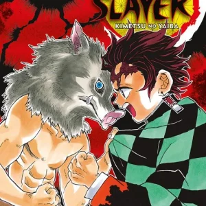 Demon slayer. Kimetsu no yaiba. Vol. 4
