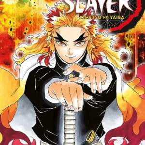 Demon slayer. Kimetsu no yaiba. Vol. 8