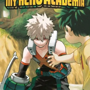 My hero academia. Vol. 29